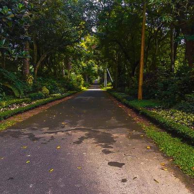 Photo 2023 12 05 20 05 55