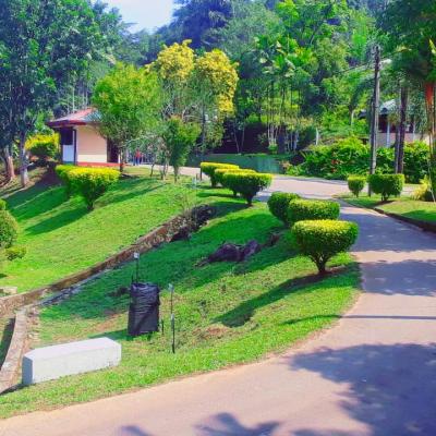 Picsart 24 04 25 20 41 59 831