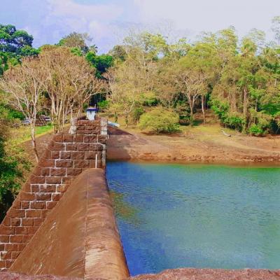 Picsart 24 04 26 21 04 29 846